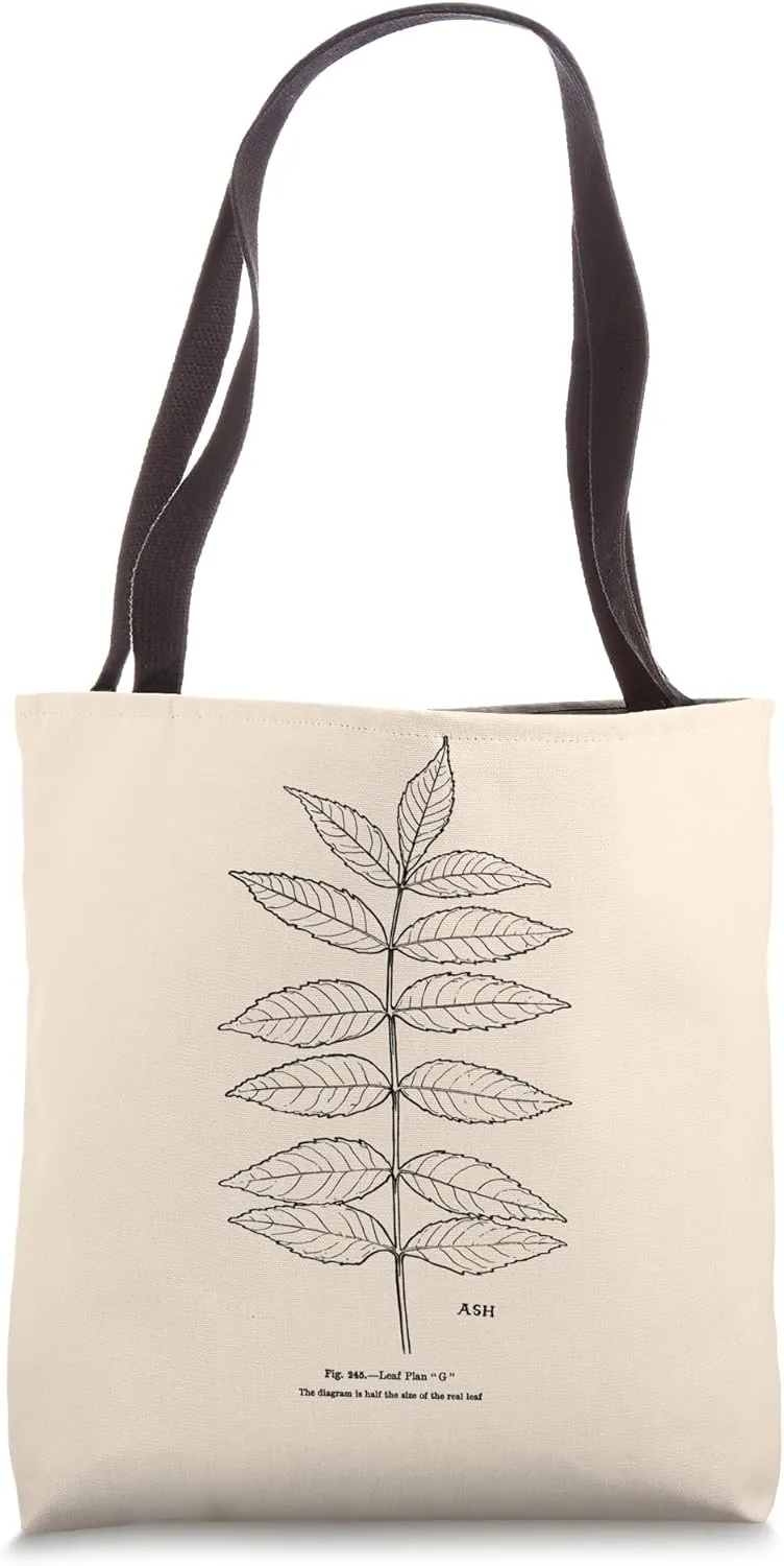 Ash Tree Leaves Leaflets Leaf Tree Vintage Art Tote Bag