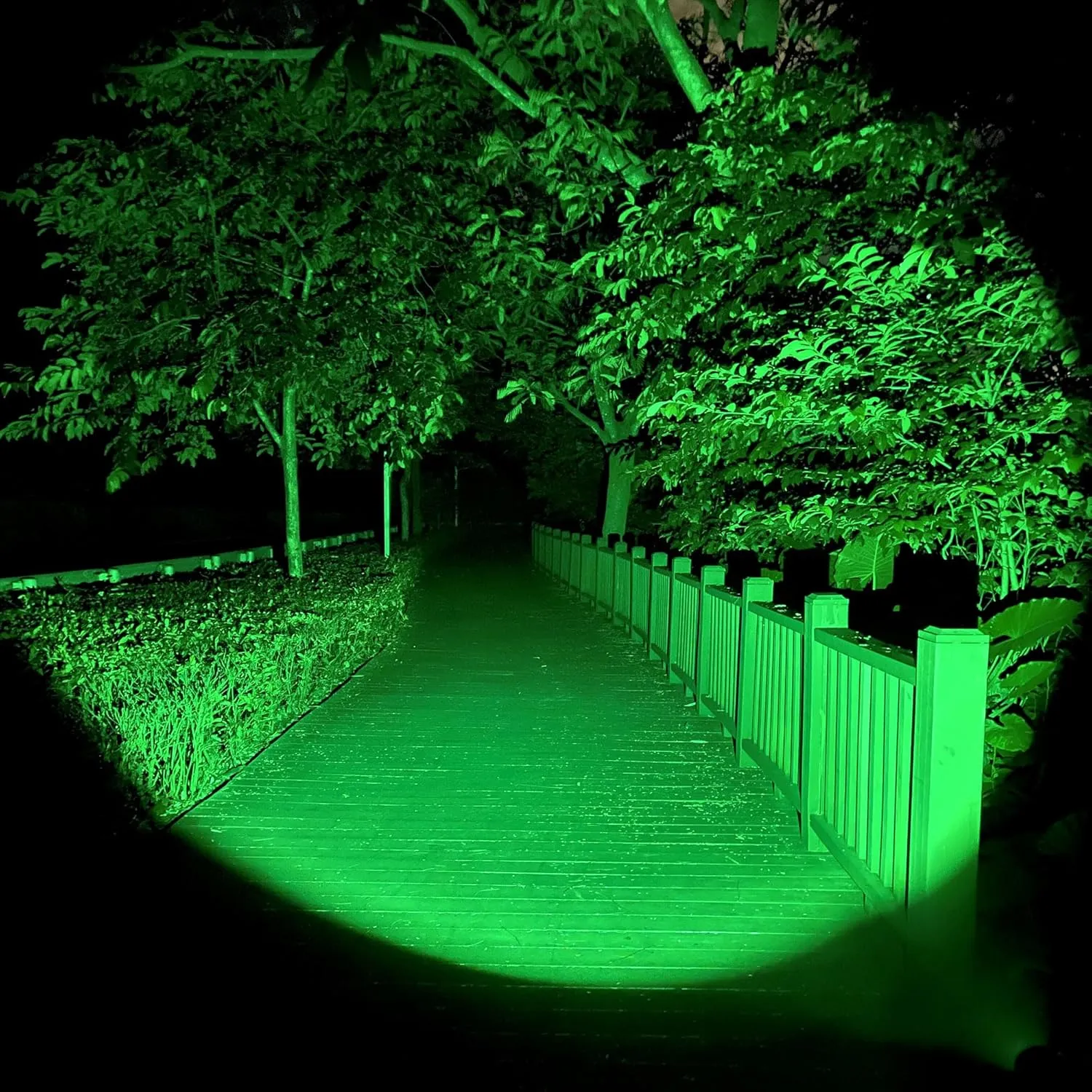 DARKBEAM Green Light Flashlight Tactical LED Rechargeable, Zoomable Portable Handheld Green-Light for Fishing Hunting Detector Astrophotography