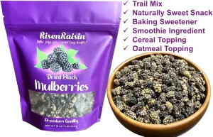 Dried Black Mulberries | 16 oz (1 LB) 454 g | No Sugar Added | All Natural & Unsulfured | Premium Quality | Nutritious Snack | Healthy Trail Mix | Packed in California | RisenRaisin Brand