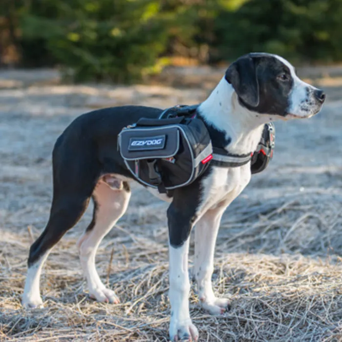 EzyDog Convert Saddle Bags
