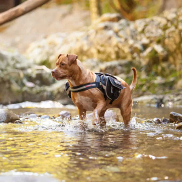 EzyDog Convert Saddle Bags