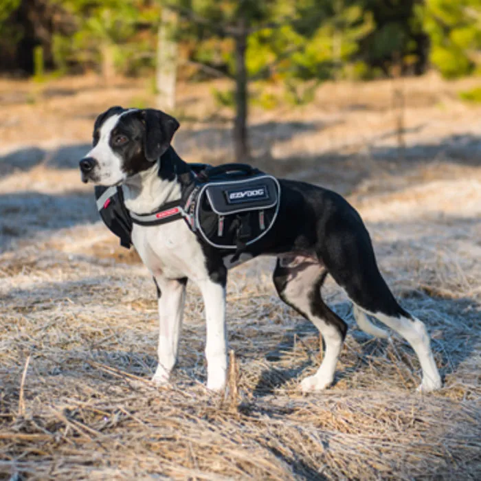 EzyDog Convert Saddle Bags