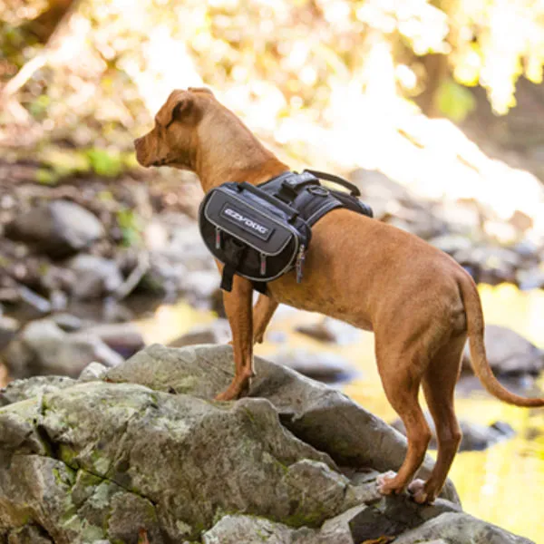 EzyDog Convert Saddle Bags
