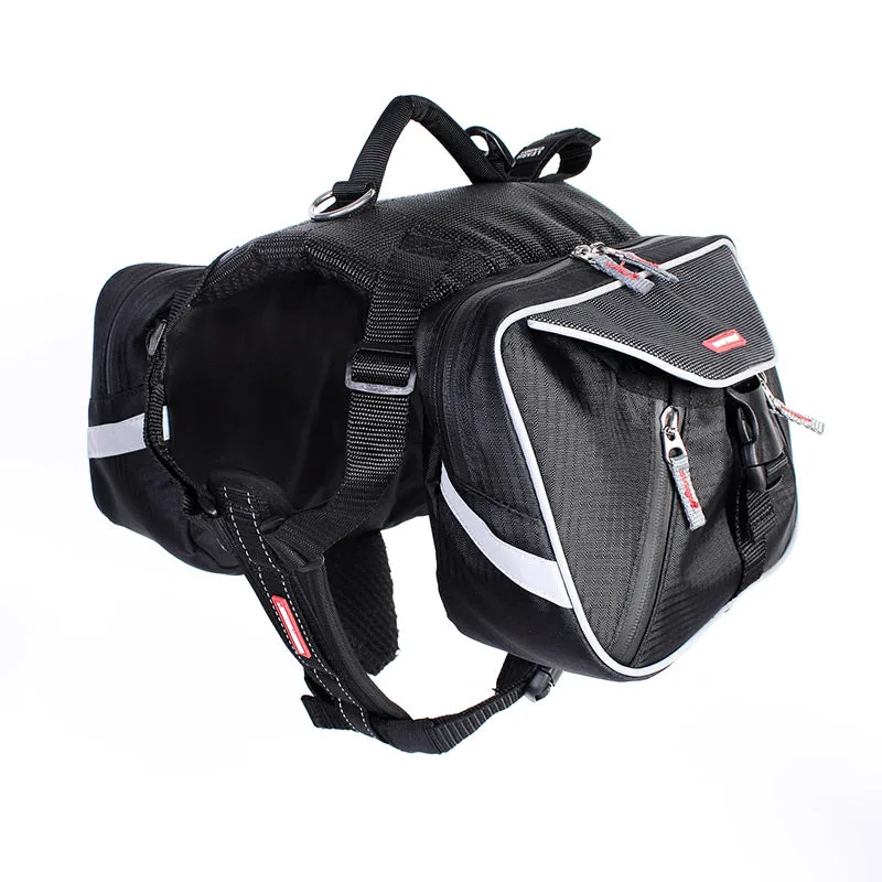 EzyDog Summit Backpack