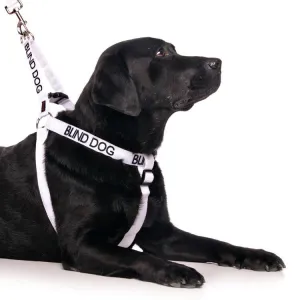FDC -L/XL Strap Harness