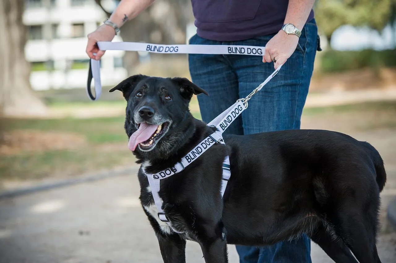 FDC -L/XL Strap Harness