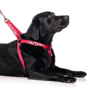 FDC -L/XL Strap Harness