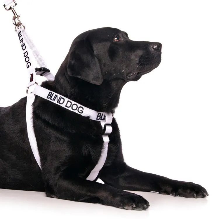 FDC -L/XL Strap Harness
