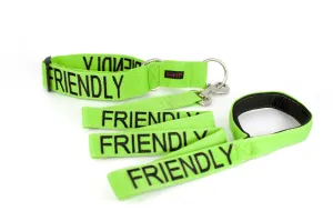 Friendly Dog Lead and Collar