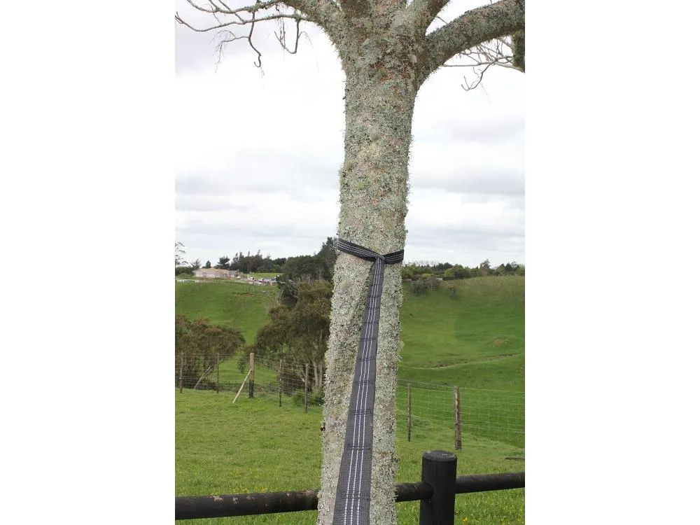 Hammock Tree Straps