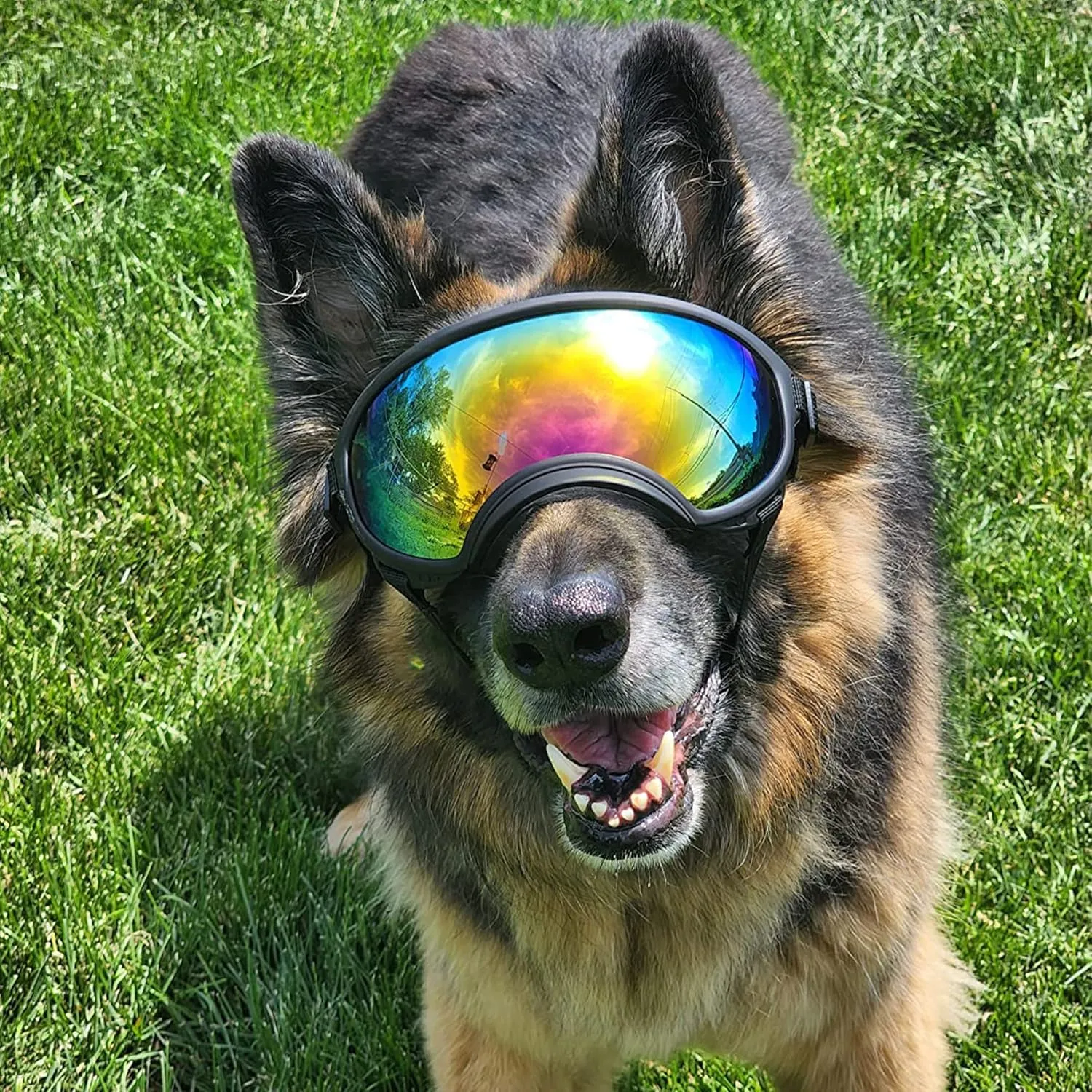 Large Dog Sunglasses with Adjustable Strap UV Protection, Winproof, Suitable for Medium-Large Dogs