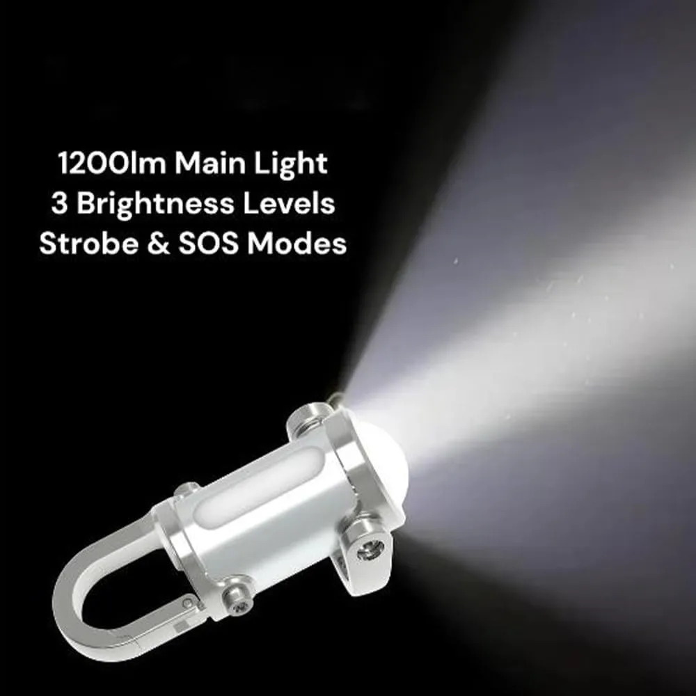 Lumilink Mini Torch, High Gloss Waterproof Portable Flashlight Keychain, Emergency Equipment (Silver Black)