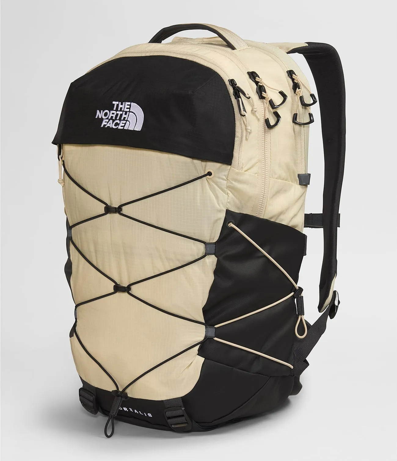 Men's Borealis Backpack