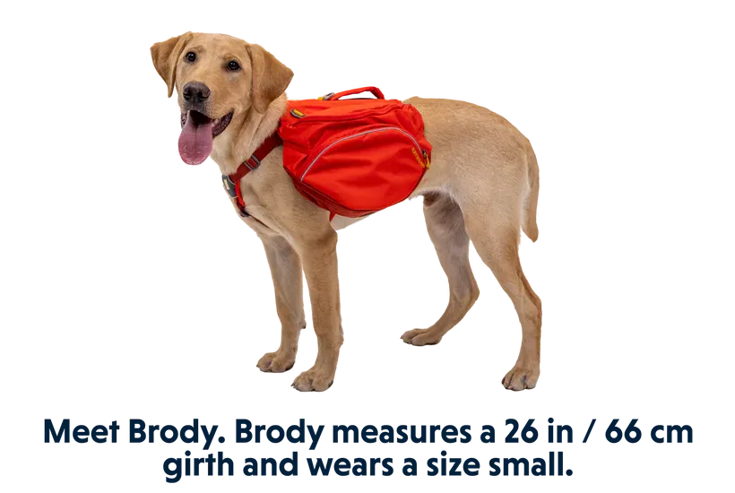 NEW Ruffwear Palisades Pack