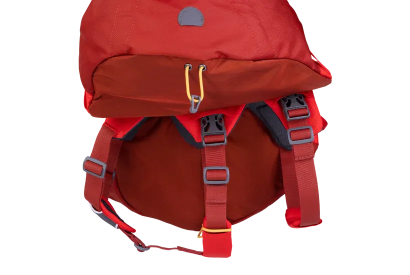 NEW Ruffwear Palisades Pack
