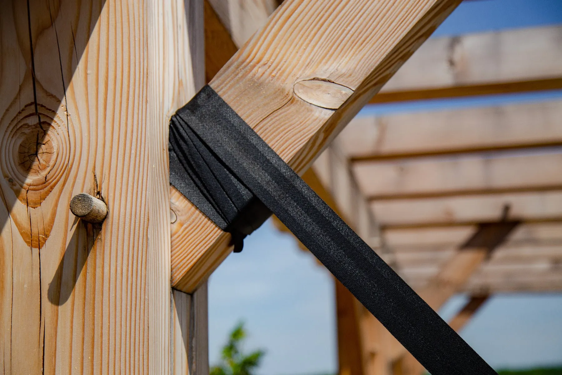 Pair of Tree Straps in Black