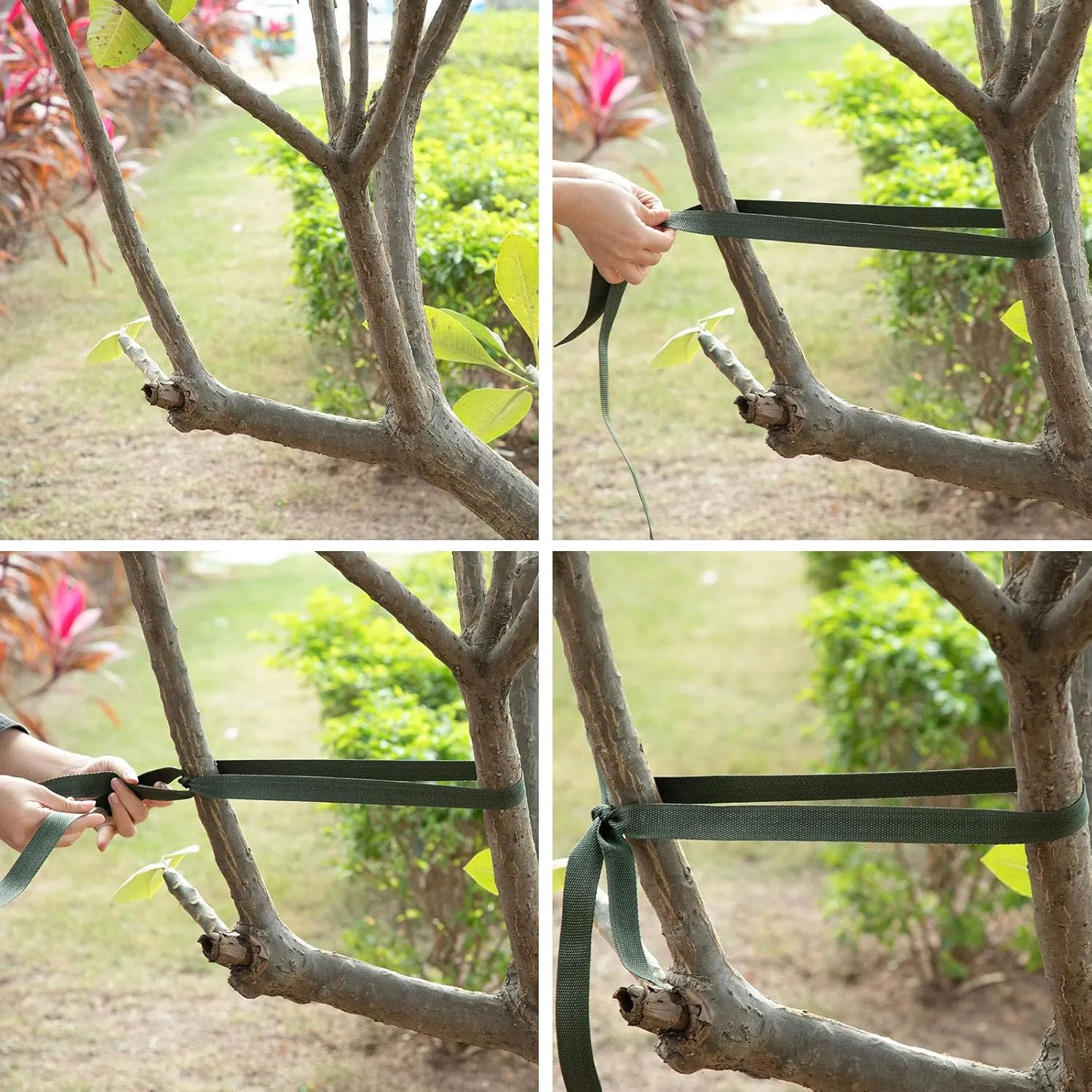 Shappy Tree Tie Strap Garden Webbing Strap Garden Plant Supports Tree Tie Staking for Outdoor Use, Plant Supports, Grafting, Straightening Supplies(Dark Green,295 Feet x 1 Inch)