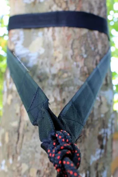 Standard Tree Straps