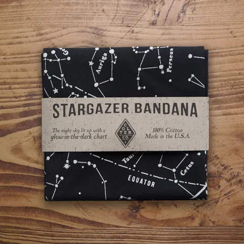 Stargazer Bandana