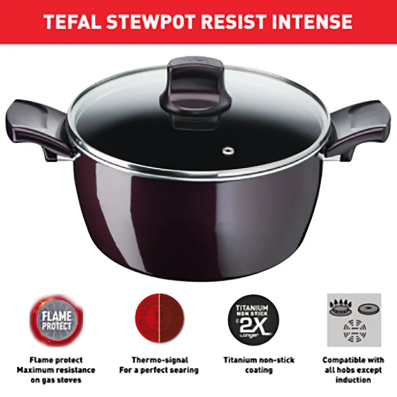 Tefal D5224582 Resist Intense – Stewpot 22cm   Glass Lid