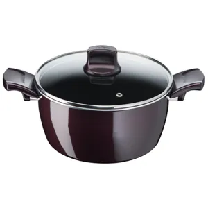 Tefal D5224582 Resist Intense – Stewpot 22cm   Glass Lid