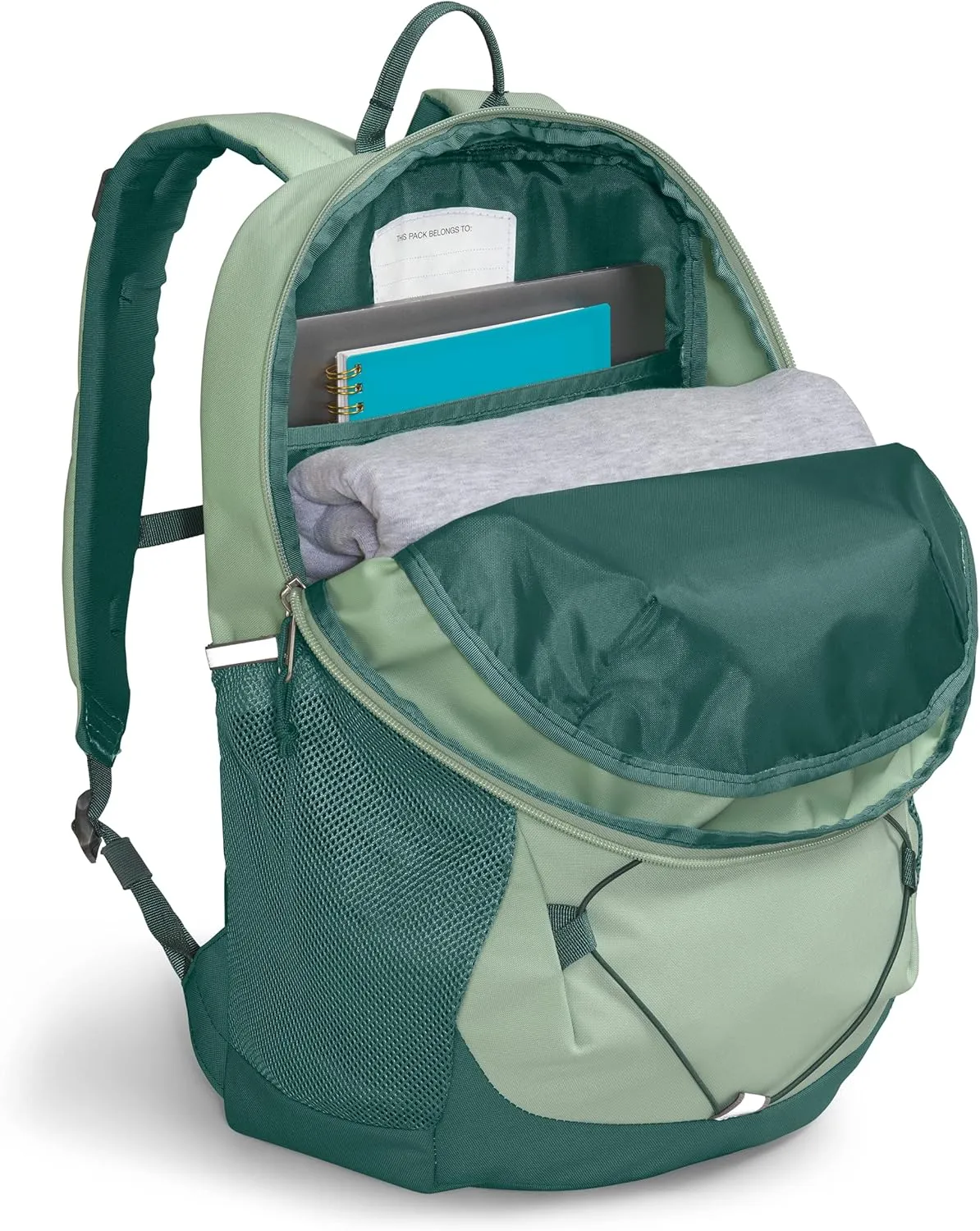 THE NORTH FACE Teen Court Jester Backpack, Dark Sage/Misty Sage/Mr. Pink, One Size