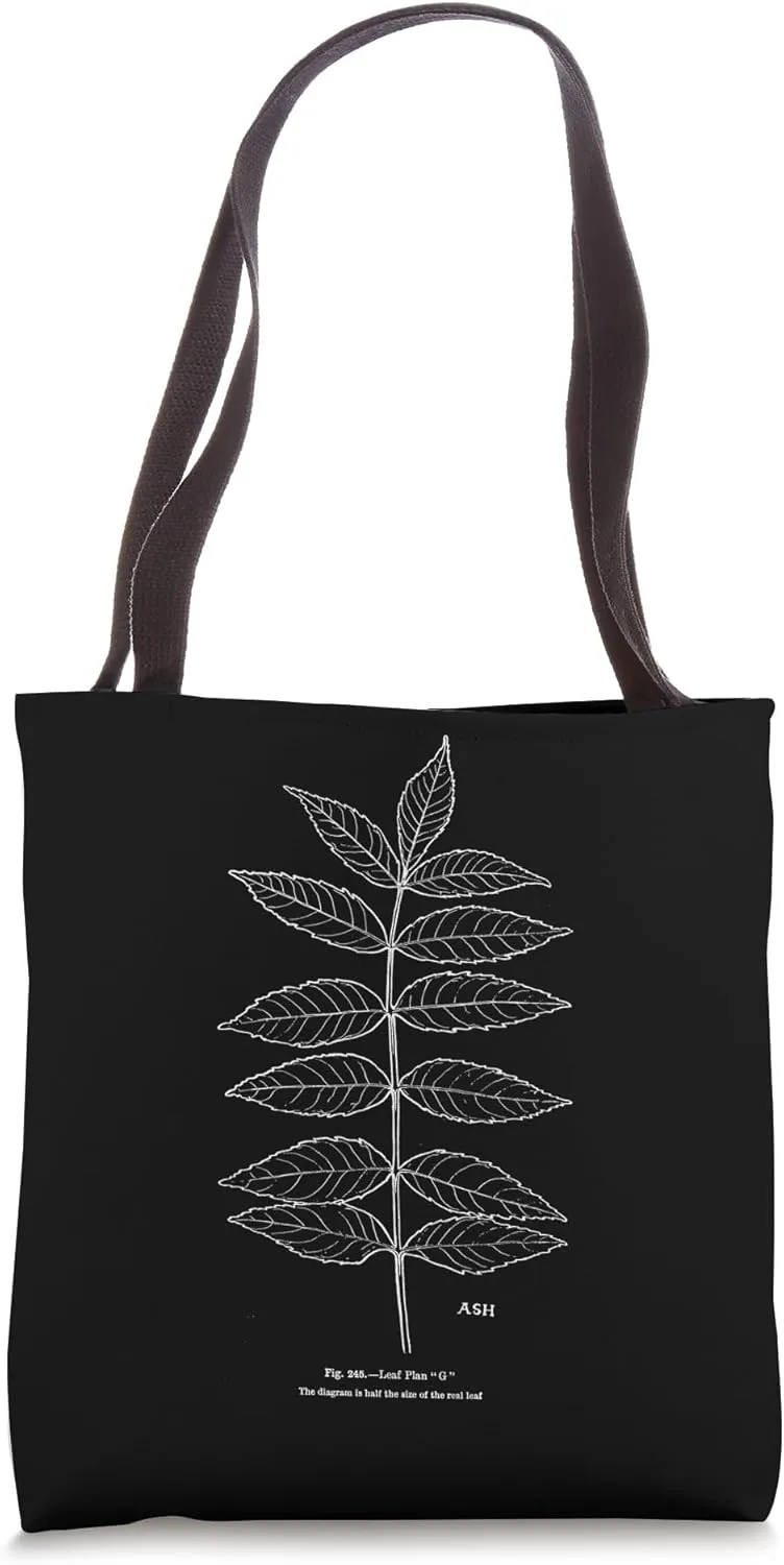 Vintage Branch of Ash Tree Leaves Leaflets Leaf Tree Art Tote Bag